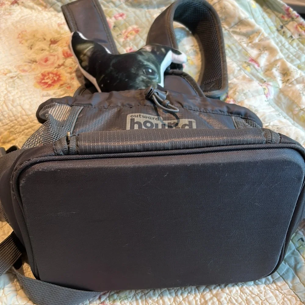 Hard bottom small pet backpack carrier.